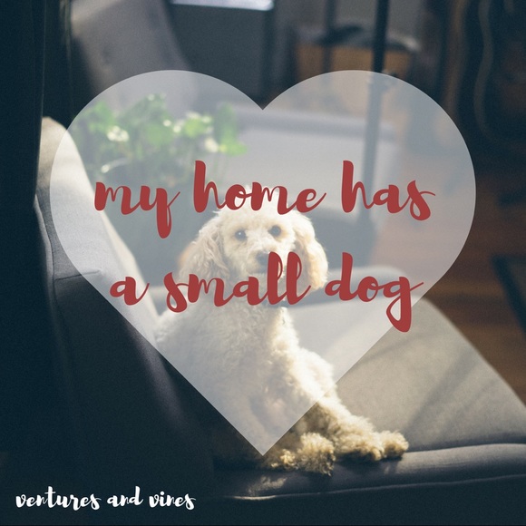 Read for info - Picture 2 of 4